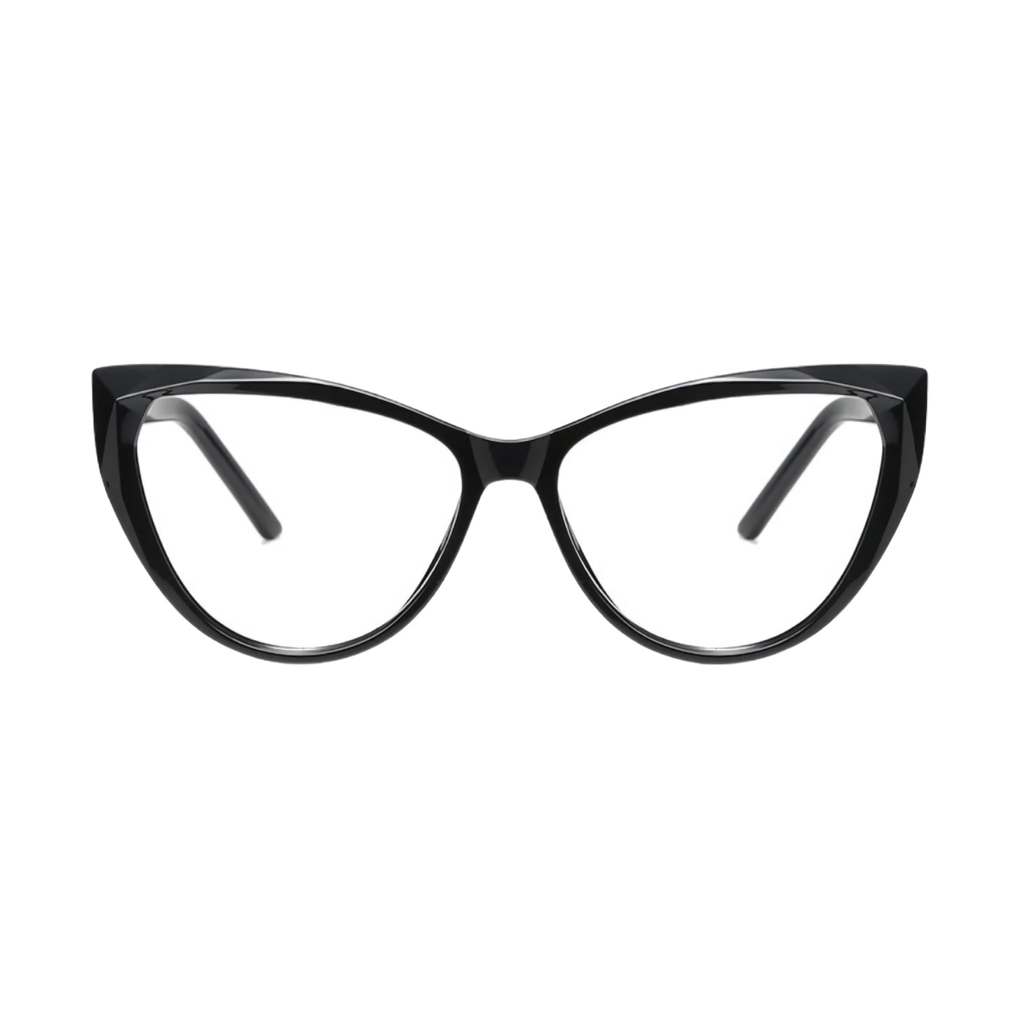 VisionGuard Pro