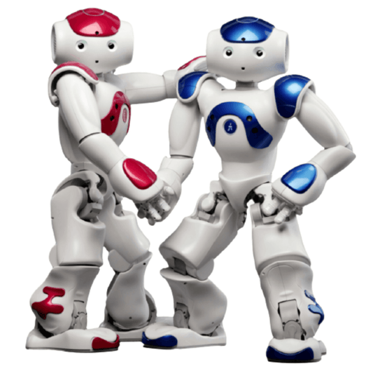 ProMotion Smart Robo Toy Set – product image at Ozoric