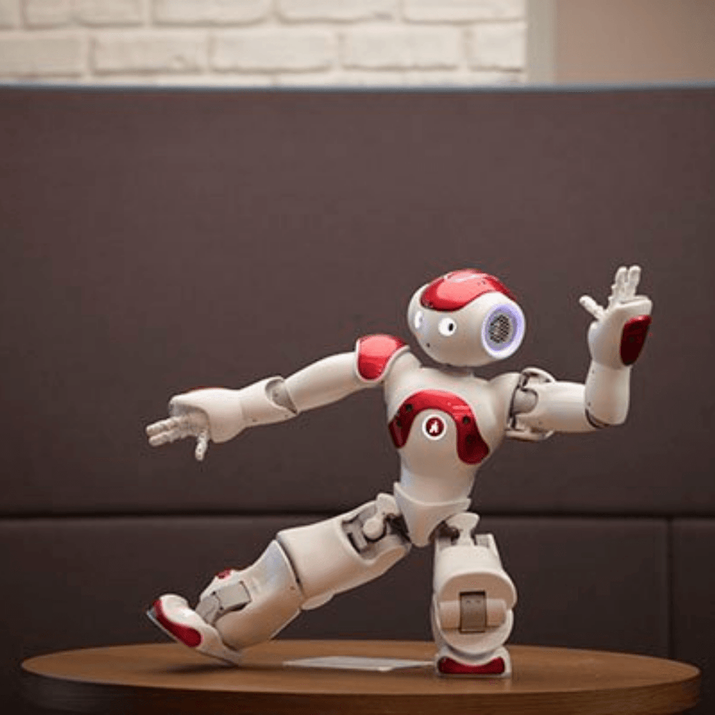 ProMotion Smart Robo Toy Set – product detail image 5 at Ozoric
