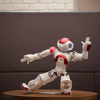 ProMotion Smart Robo Toy Set – product detail image 5 at Ozoric